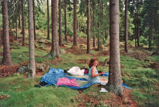 1992-Schweden-Plätzchen im Wald-560 1992-Schweden-Plätzchen im Wald-560