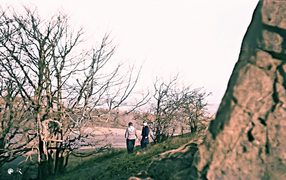 54-05-0031-am Kn�llk�pfchen direkt Gimp FS imp-Colorized-Enhanced, cyan-560