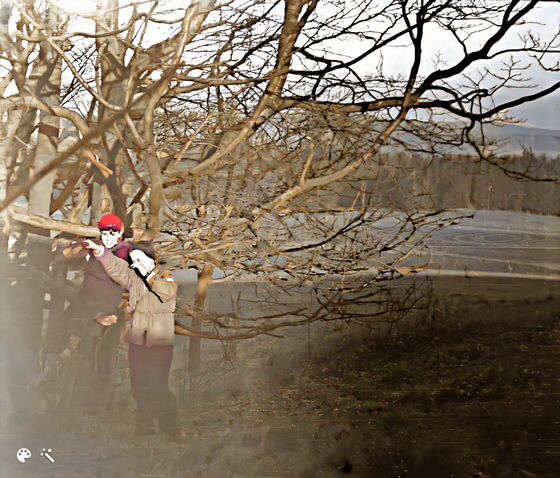 54-05-0032-am Kn�llkopf Ausschnitt Gimp-Colorized-Enhanced, impx2, warme F-560