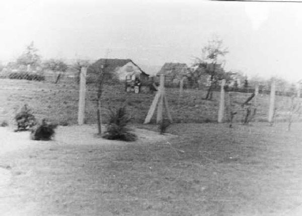 60-Gartenzaun-1960-560JPG