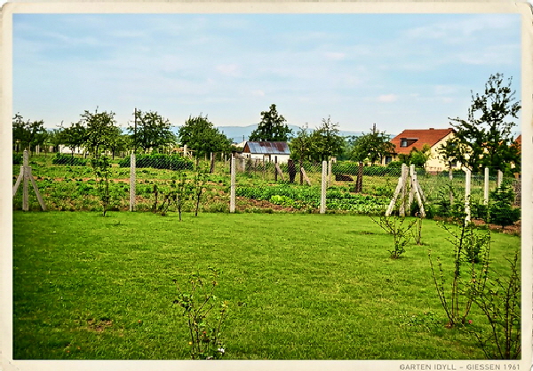 61-Garten und Pony's, maximale Details-560