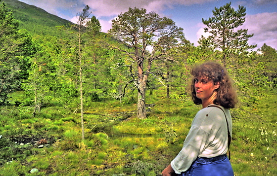 92-img322-Norwegen 1992 - Hase in der Pampa, corel, pse7, sharpen, color5,pse7a, impaint-560
