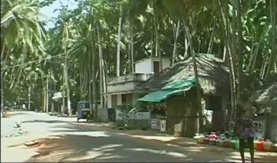 AltGoa-0112-Straße im Coconut Village-560