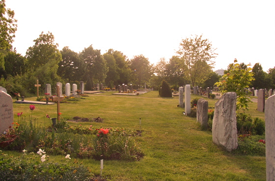 P5161291-Friedhof-Nachmittagssonne-3-560